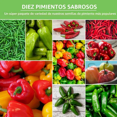 Miniatura 4 de 10 paquetes de semillas de pimiento para plantar Jalapeño, Serrano, Cayena, Bola, Habanero, Poblano y más – Colección de pimientos autóctonos