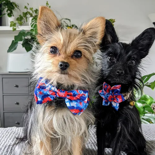 Miniatura 7 de Huxley & Kent Pajarita para mascotas para perros y gatos – 4 de julio ajustable con gancho y lazo accesorio – Lindo y cómodo para vacaciones