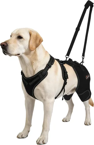 Soporte de cadera para perro, soporte ajustable para piernas de perro para displasia de cadera, artritis/alivio del dolor, estabilizador de rótula