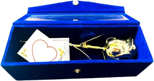 Rosa natural bañada en oro de 24 quilates con caja de regalo roja para hombres y mujeres, 6 pulgadas de largo, la mejor opción de regalo en el día