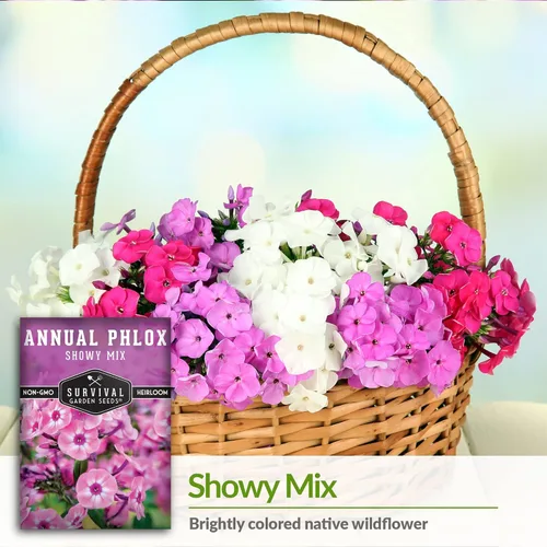 Miniatura 4 de Survival Garden Seeds - Showy Mix anual Phlox Seed para plantar - Paquete con instrucciones para plantar y cultivar hermosas flores silvestres