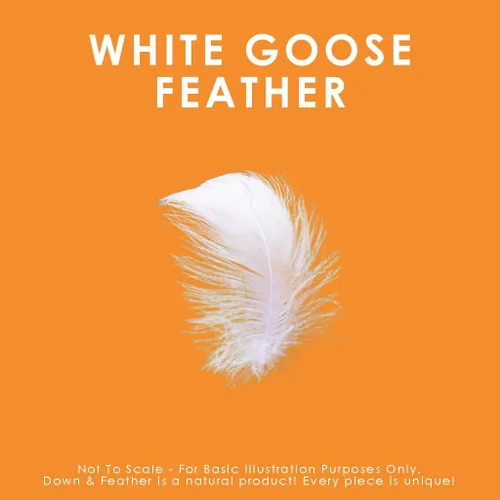 Miniatura 4 de Canadian Down & Feather Co. - Almohada de plumas de ganso blanco de soporte medio, tamaño estándar, carcasa de 255 hilos, 100% algodón, relleno