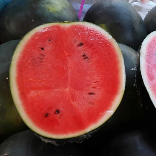 Miniatura 7 de Seed Needs Semillas de sandía para plantar frutas, semillas de melón sin OMG y agua sin tratar para plantar un jardín cultivado en casa al aire