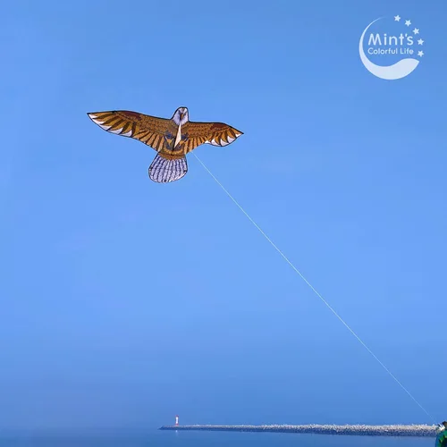 Miniatura 6 de Cometa de águila calva para adultos y niños, cometas enormes fáciles de volar cometa de una sola línea para viaje a la playa