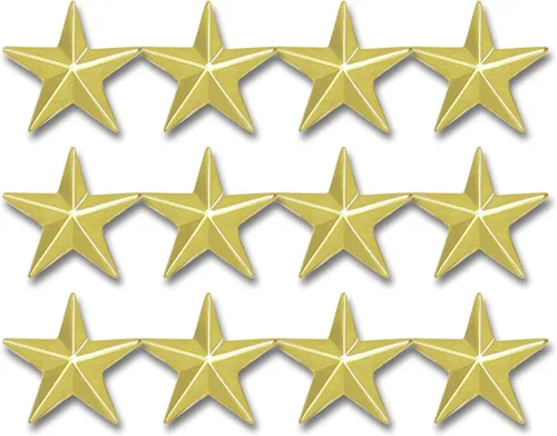SHOP AWARDS AND GIFTS Estatua de la Libertad USA Bandera Americana Pines de Solapa