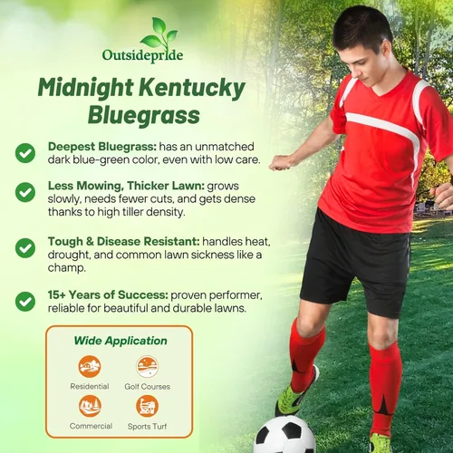 Miniatura 2 de Outsidepride Midnight Kentucky Bluegrass Seed - 10 libras. Semilla de pasto azul de Kentucky tolerante al frío y la sequía, semilla de césped amante