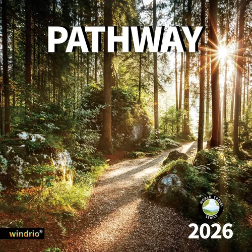 Miniatura 17 de Calendario de pared 2026, calendario 2026, julio de 2025 a diciembre de 2026, calendario de pared Aurora, 12 x 24 pulgadas abierto, página completa