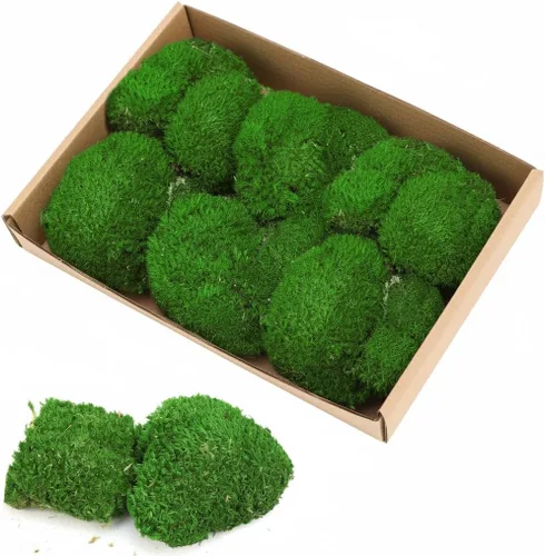 Miniatura 10 de TCYPUHL Cojín de musgo preservado verde oscuro de 1 pies cuadrados para plantas, manualidades de interior, arte de pared, bricolaje, terrarios