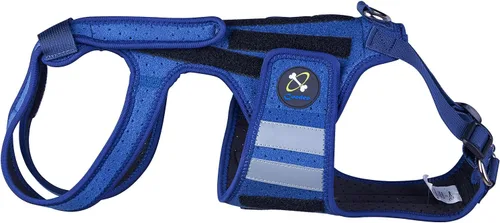 Miniatura 2 de Coodeo Soporte de espalda para perros para artritis, soporte de espalda para mascotas para IVDD, protector de espalda ayuda a aliviar el dolor, Azul