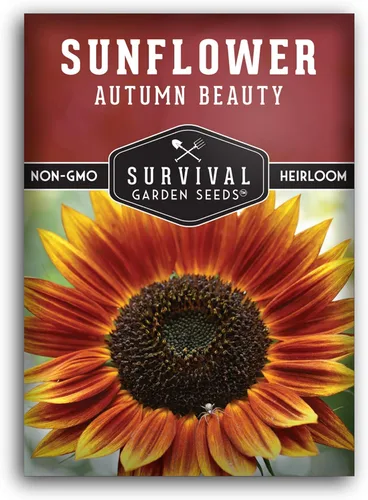 Survival Garden Seeds - Semilla de girasol de Autumn Beauty para plantar - Paquete con instrucciones para plantar y cultivar flores hermosas y