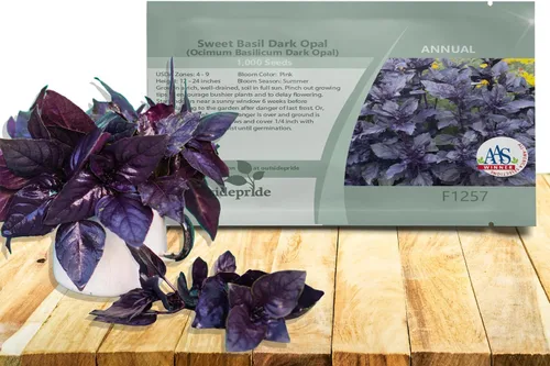 Outsidepride Semillas de albahaca de ópalo oscuro, 1000 piezas anuales de semillas de hierba de albahaca morada, sin OMG, ideales para jardines