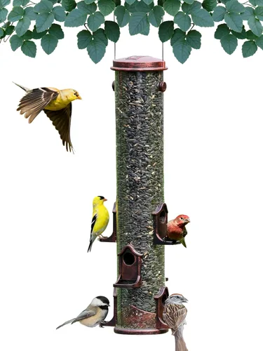 Miniatura 9 de Alimentador de tubo para pájaros, alimentador de tubo verde mamut de 6 puertos con tapa de metal, perchas y puertos, capacidad para 10 tazas