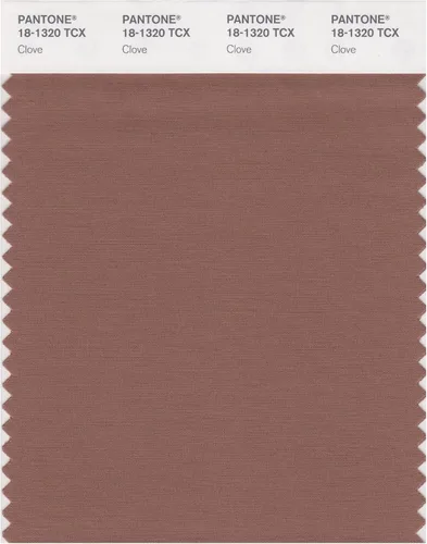Miniatura 10 de PANTONE Tarjeta de muestra de color inteligente 18-1314X, bellota