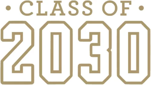 Class of 2030 Iron On Decal, Senior Class Shirt Patch, Heat Transfer, HTV Graphic Tshirt Sticker, DIY Crafts, Pick Size Color, Iron-On Almost Gold