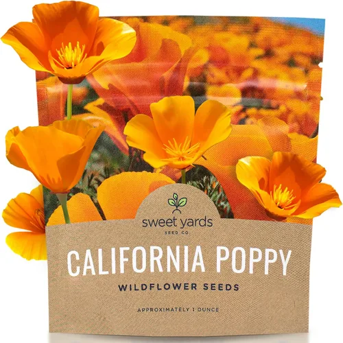 Semillas de flores silvestres de amapola naranja de California, paquete a granel de 1 onza, más de 20,000 semillas nativas, flor del estado de