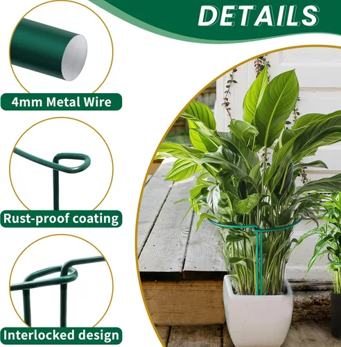 Miniatura 4 de TCBWFY Paquete de 10 estacas de soporte para plantas de jardín, 10 pulgadas de ancho, 16 de alta resistencia, entrelazadas, semicirculadas