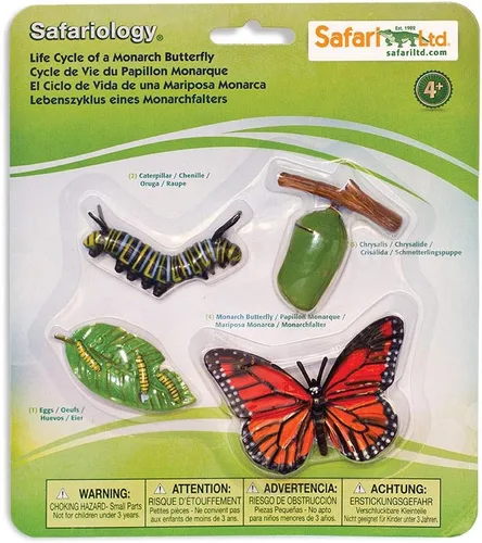 Miniatura 5 de Safari Ltd Safariología, el ciclo de vida de una abeja