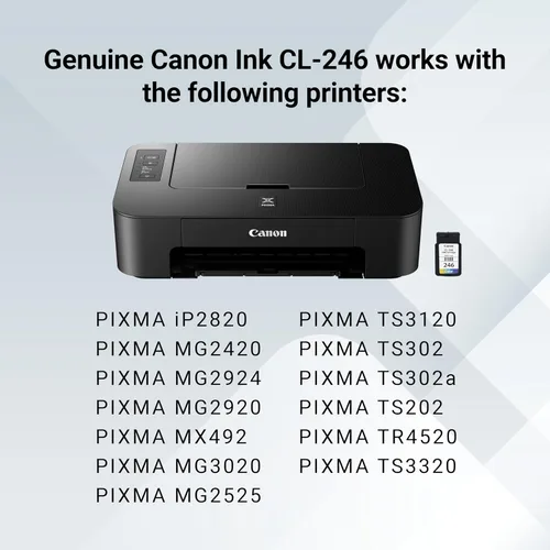 Miniatura 6 de Canon, cartucho de tinta color CL-246., 3