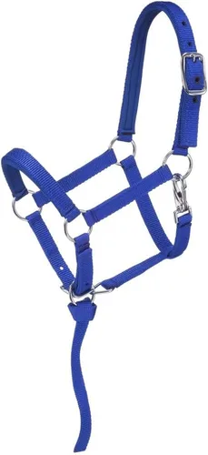 Tough 1 Cabestro miniatura acolchado de nailon Azul real