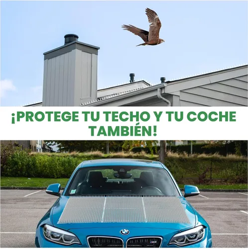 Miniatura 8 de Petfolio Paquete de 12 Alfombrillas Repelentes para Gatos - Alfombrilla de Púas para Gatos de 16 x 13 Pulgadas con Púas de 1 Pulgada es un