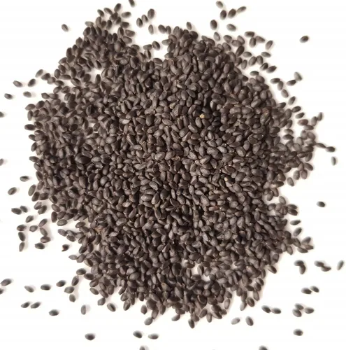 Miniatura 6 de Semillas de Albahaca Genovesa (550 Semillas)