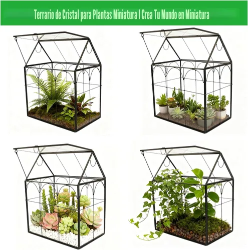 Miniatura 3 de ELEGANTLIFE Terrario geométrico de cristal para plantas suculentas, maceta de aire para decoración del hogar, jardín, oficina (casa negra)