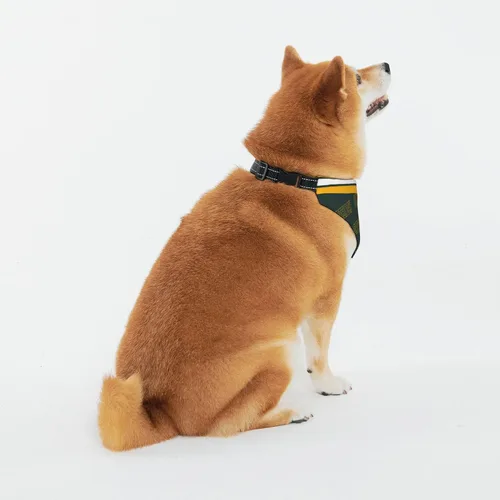 Miniatura 3 de Arizona Pet - Pañuelo personalizado para perros y gatos