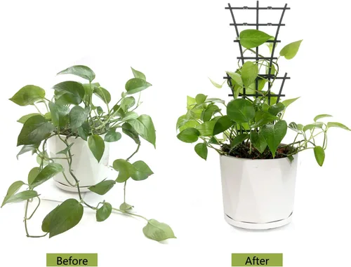 Miniatura 4 de 12 piezas de jardín DIY mini enrejado de escalada de plástico superpuesto para plantas en maceta, enrejados de jardín para plantas trepadoras