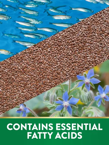 Miniatura 4 de Nature's Truth Triple Omega 3-6-9 cápsulas blandas 3600 mg 60 unidades Aceites de pescado, lino, borraja Suplemento sin OMG y sin gluten