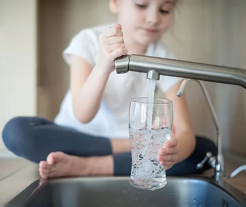 Miniatura 5 de FILTRASORB 200 Carbón activado granulado de alto rendimiento certificado para recambio de filtro de agua/aire, 23 libras aprox. - Fabricado