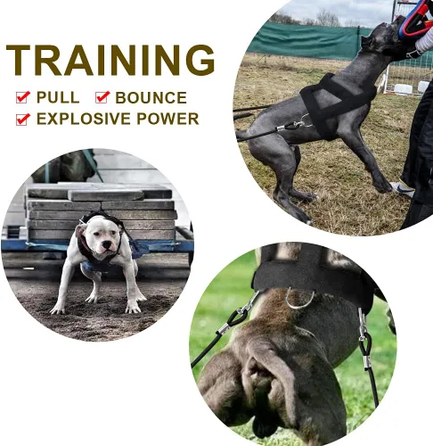 Miniatura 5 de Forestpaw Arnés de perro resistente sin tirones para entrenamiento, chaleco táctico con 3 anillos de metal, arnés acolchado suave para perros