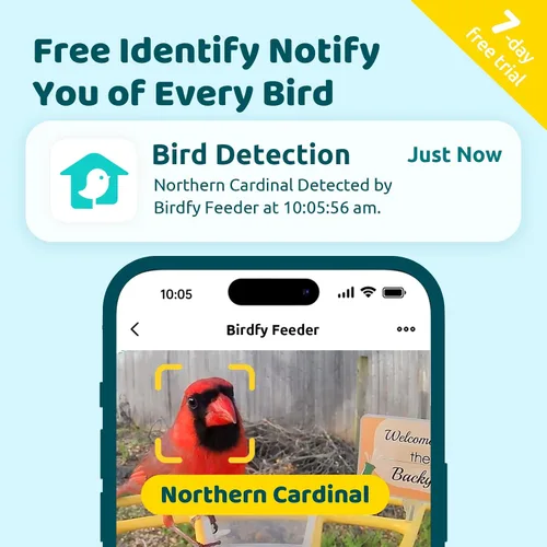 Miniatura 2 de NETVUE by Birdfy Pro Comedero Inteligente para Pájaros con Cámara y Panel Solar, Alertas de Llegada Instantáneas, Transmisión en Vivo y Visión