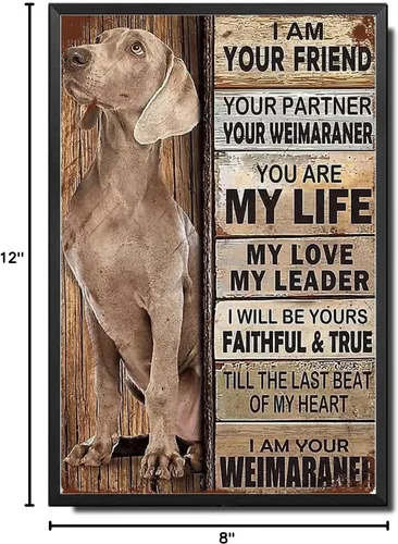 Miniatura 8 de Letrero de Metal Signo de Lata Arte de Pared Vintage Soy Tu Amigo Regalo para Amantes del Weimaraner Arte de Pared Vintage Impresiones