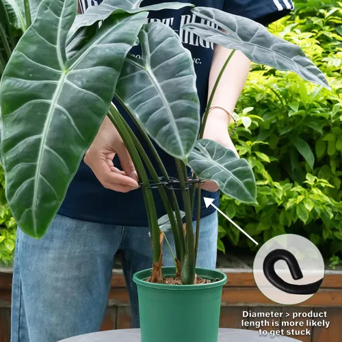 Miniatura 4 de Yohsnor Monstera - Gancho de soporte para plantas, 4.1 x 4.1 pulgadas, 5 unidades, sistema de soporte de tallo ajustable duradero, protección suave