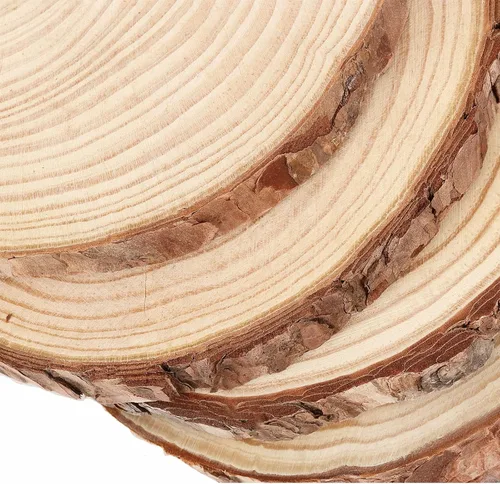 Miniatura 3 de 6 piezas de rebanadas de madera de 8 a 9 pulgadas, círculo de madera sin terminar de 20 a 9.1 in con corteza de árbol, centros de mesa redondos