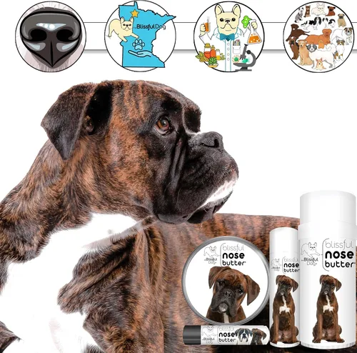Miniatura 3 de The Blissful Dog Brindle Boxer Mantequilla para Nariz, Bálsamo Versátil para Nariz de Perro para Nariz Seca, Hidratante de Nariz Hecho a Mano
