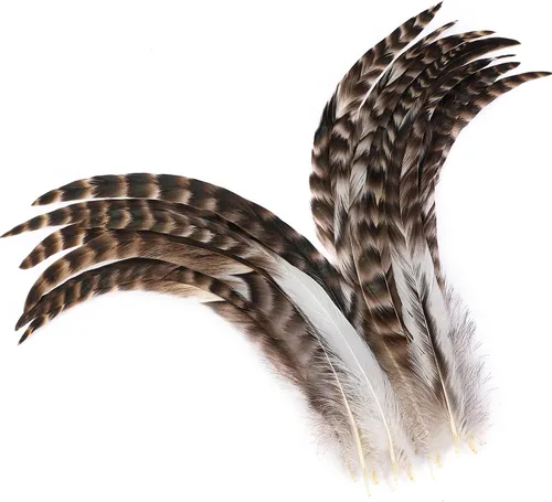 Miniatura 21 de Holmgren Plumas de Cola de Gallo Color Blanco Hueso - 60 piezas Plumas de Cola de Gallo Grandes de 12-14 pulgadas al Por Mayor para Manualidades