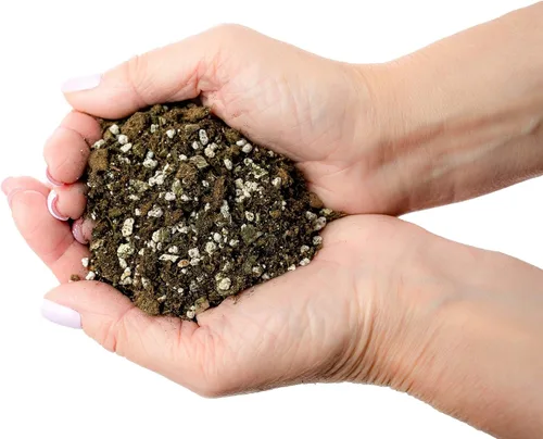 Miniatura 5 de Gardenera Mezcla de suelo prémium para violetas africanas y gesneriada, 1 cuarto de galón, perlita hortícola, vermiculita y musgo de turba esfagnum