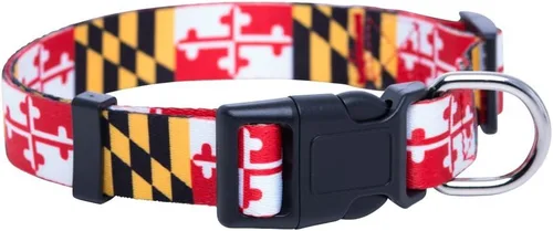 Native Pup Collar para perro con la bandera de Maryland (Maryland, grande)