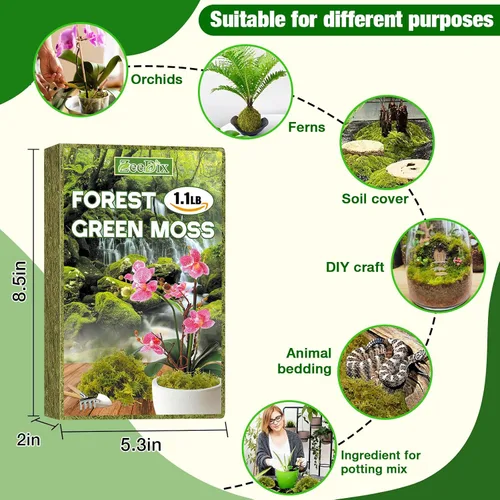 Miniatura 7 de ZeeDix 1.1 lb de musgo forestal para plantas de interior - Musgo de orquídea seco para replantar, musgo sphagnum verde natural para plantas