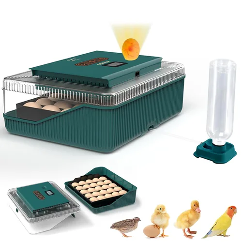 Incubadora de 25 huevos, incubadoras para incubar huevos, con giro automático de huevos y control de humedad, vela de huevos, reposición automática