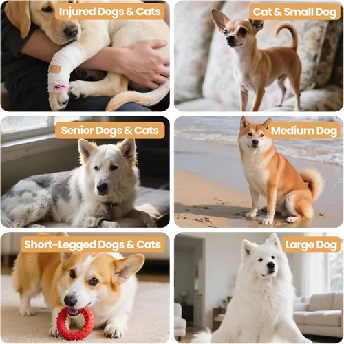 Miniatura 8 de Rampa 3 en 1 para perros de 18.9 x 17.7 x 18.9 pulgadas con almacenamiento, escaleras para mascotas para perros y gatos mayores y lesionados