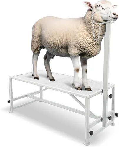 Kojem Soporte para ganado de ovejas de 51 x 23 pulgadas, soporte de ordeño de cabra, soporte de recorte para ovejas y corderos, altura ajustable de