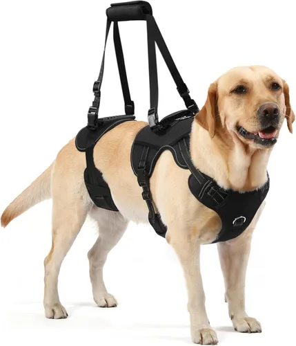 Arnés de elevación para perros NOYAL para mascotas mayores y lesionadas – Arnés de soporte de cuerpo completo con malla transpirable, asistencia
