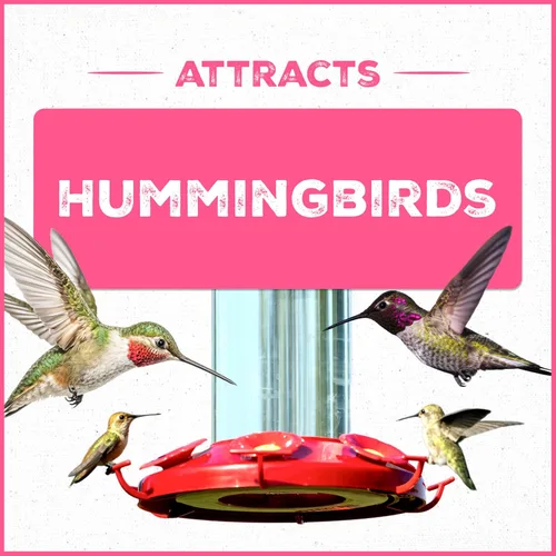 Miniatura 4 de Pennington Electronectar - Néctar de colibrí listo para usar de 64 oz
