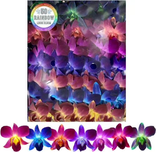 Miniatura 8 de Miami Fresh Orchid Flower OrchidClub USA Sunne Tropical Loose Bloom DIY Lei, decoración de alimentos y bebidas (50 amarillos)