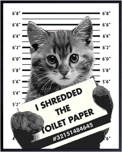 Divertida decoración de pared de baño de gato, póster de decoración del hogar de 8 x 10 pulgadas, para baño, baño de invitados, tocador, regalo de