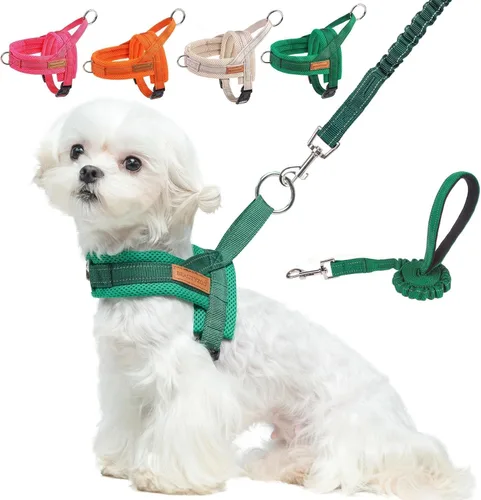 Miniatura 24 de BEAUTYZOO Arnés para Perros Pequeños, Juego de Arnés y Correa sin Tirones, Arnés de Chaleco para Cachorros Suave a Prueba de Escapes con Manija