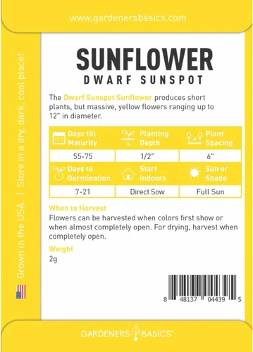 Miniatura 2 de Gardeners Basics, Semillas de girasol enano para plantar flores – Mancha solar amarilla) es una variedad de flores solares de polinización abierta