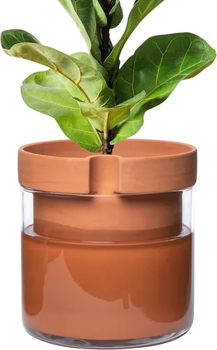 Miniatura 32 de Maceta Phoenix Vine de 6 Pulgadas con Riego Automático, Maceta de Arcilla Terracota con Reservario de Vidrio para Plantas de Interior, Hierbas